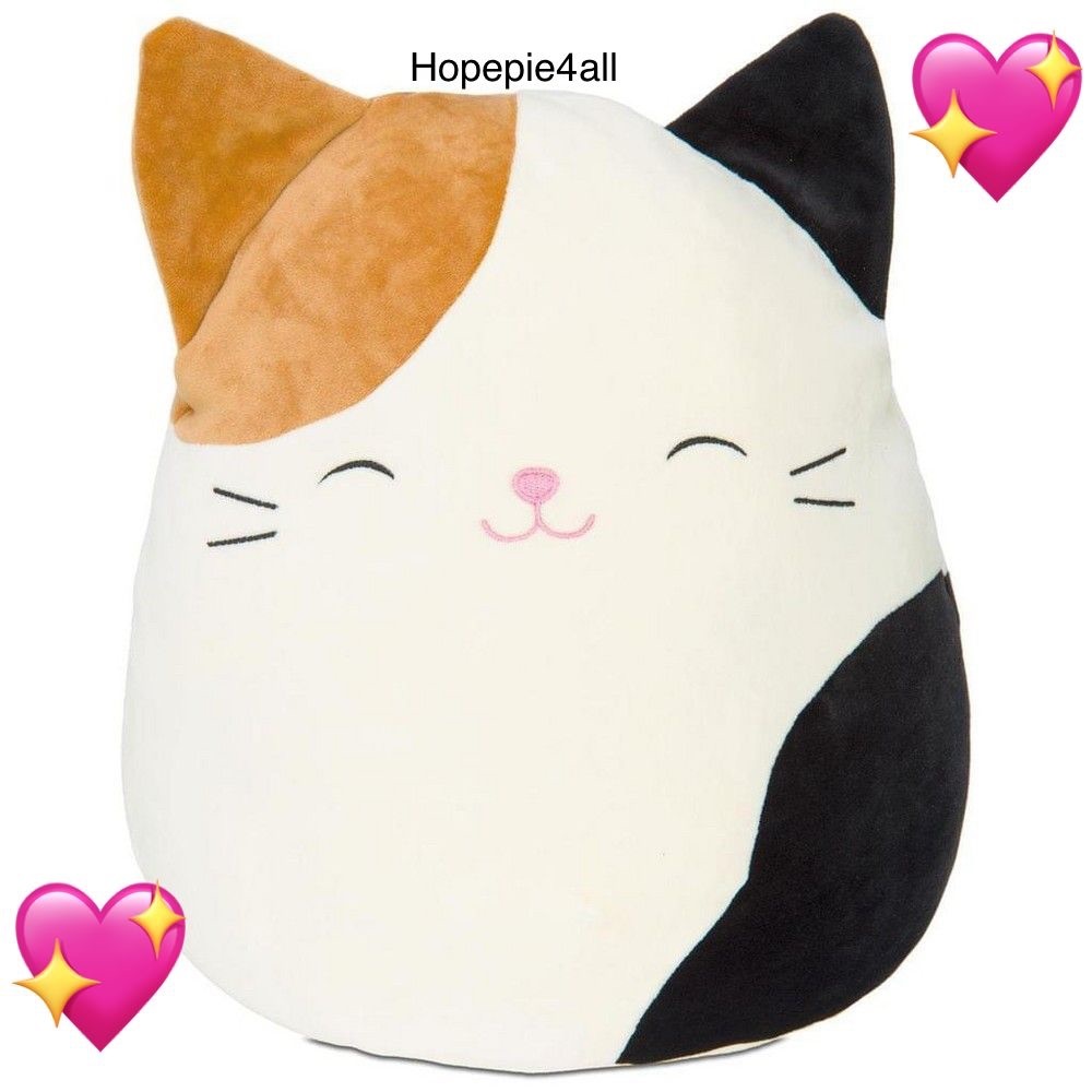 💖Squishmallows Cam the Cat💖